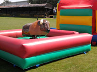 12ft x 11ft x 9ft Buffalo Billy - Childs Rodeo Bull / Bucking Bronco �150 2hours free set of kids sumo suits