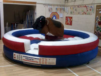 Rodeo Bull Bucking Bronco �175 2hours �25 per an hour after